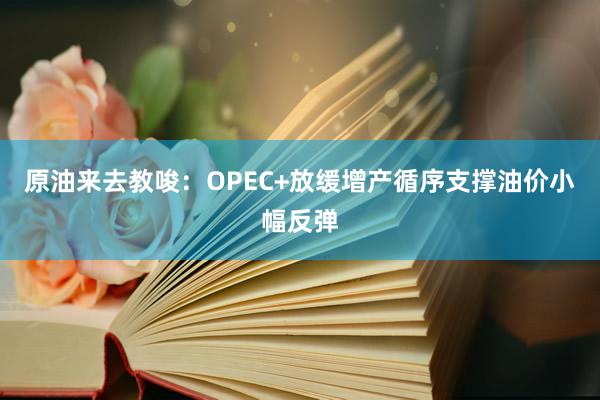 原油来去教唆:OPEC+放缓增产循序支撑油价小幅反弹